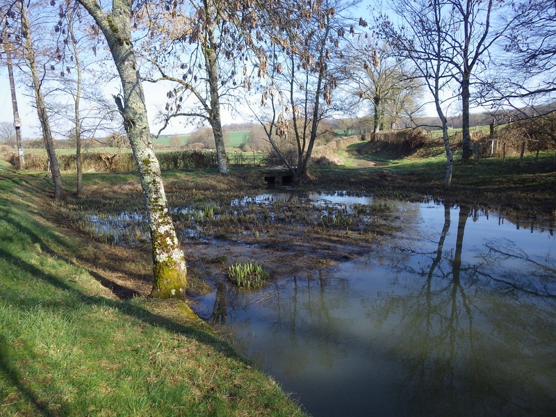 Ruisseau St Bonnot