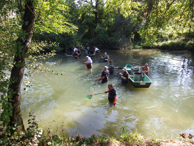 peche electrique canal derivation nievre 3oct2014